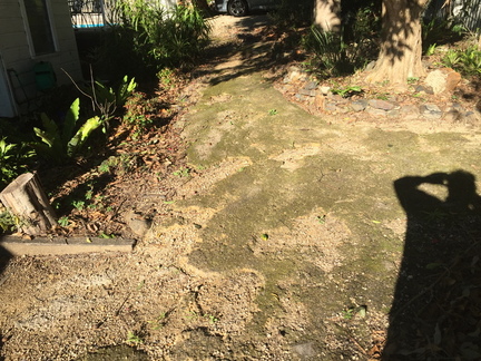 IMG 3967
